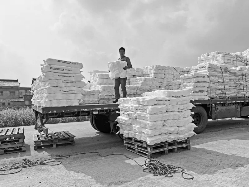 Same Platform, Different Rules: Why Wholesale and DTC Shipping Cannot Share the Same Operational Playbook